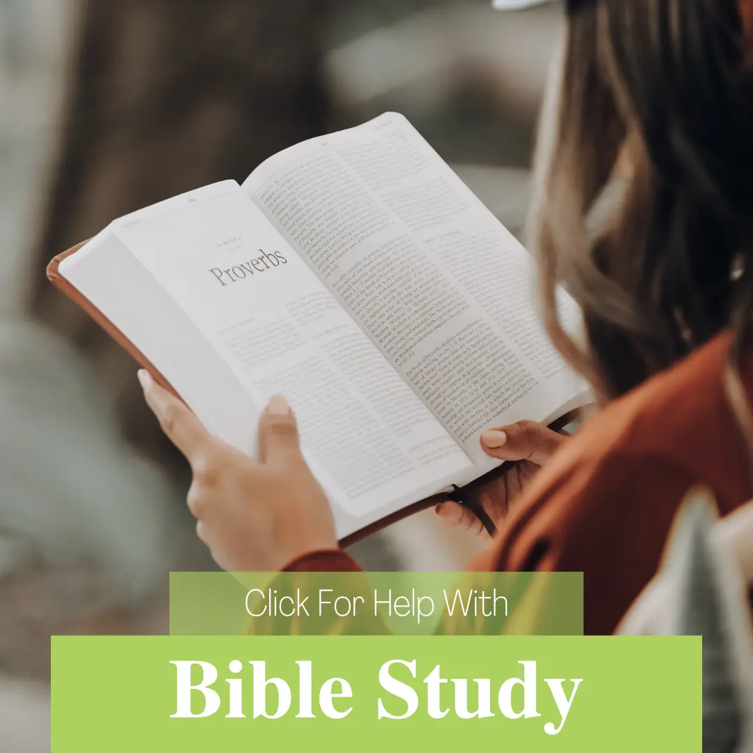 A Christian Women's Group Offering Community And Bible Studies Online